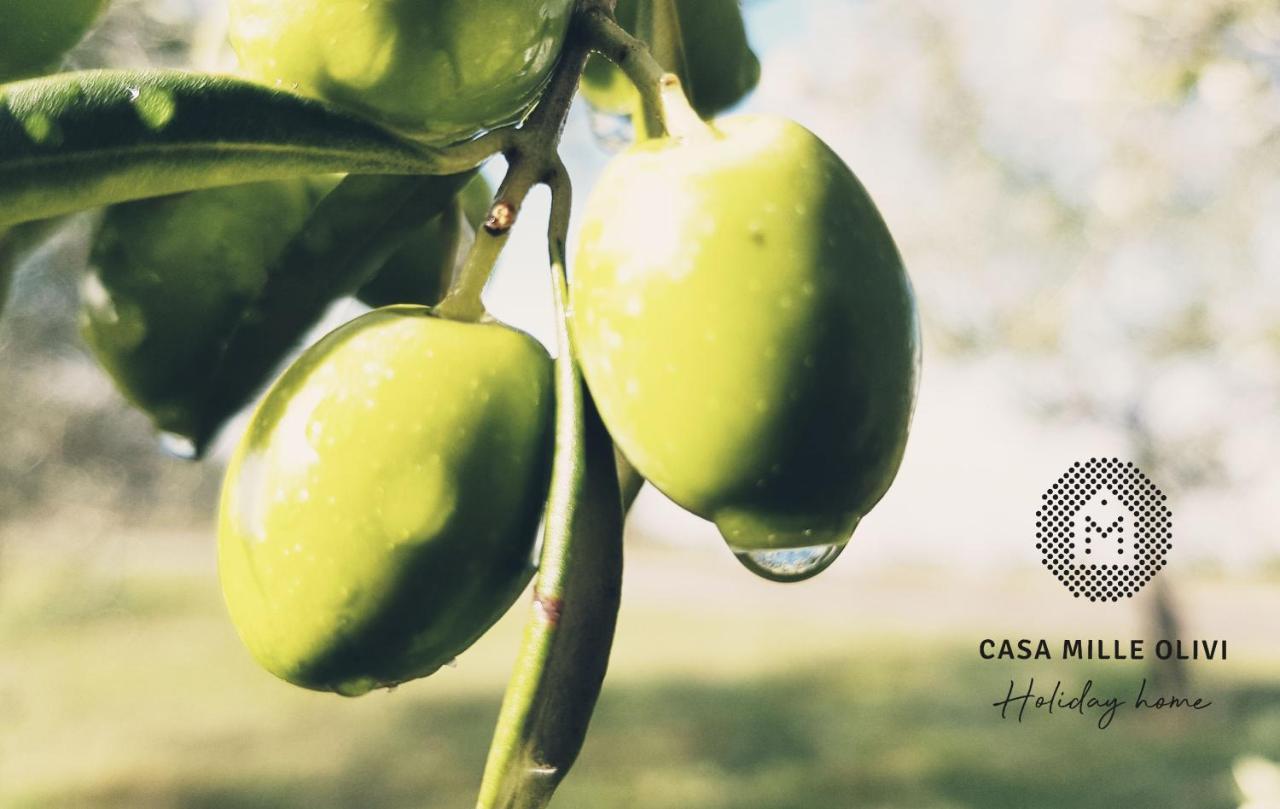 Casa Mille Olivi Villa บูเซต ภายนอก รูปภาพ